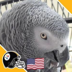 Meet your Posher, Kaye